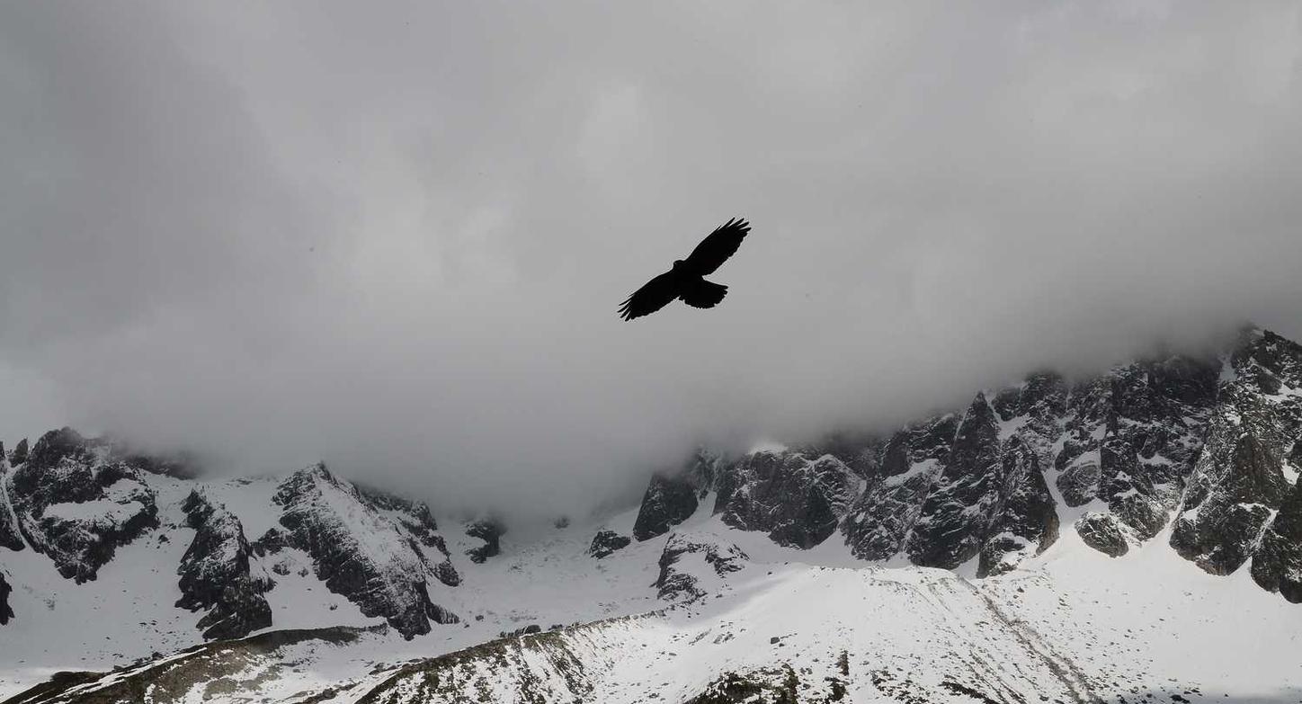 赫兹实名账号：米乐体育官网app 详情下载教程