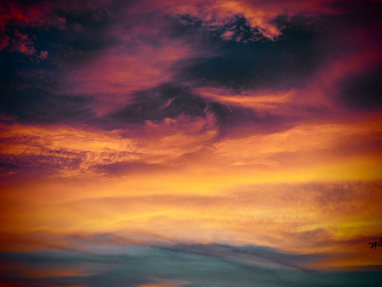 短信反馈和调查:如何了解你的客户