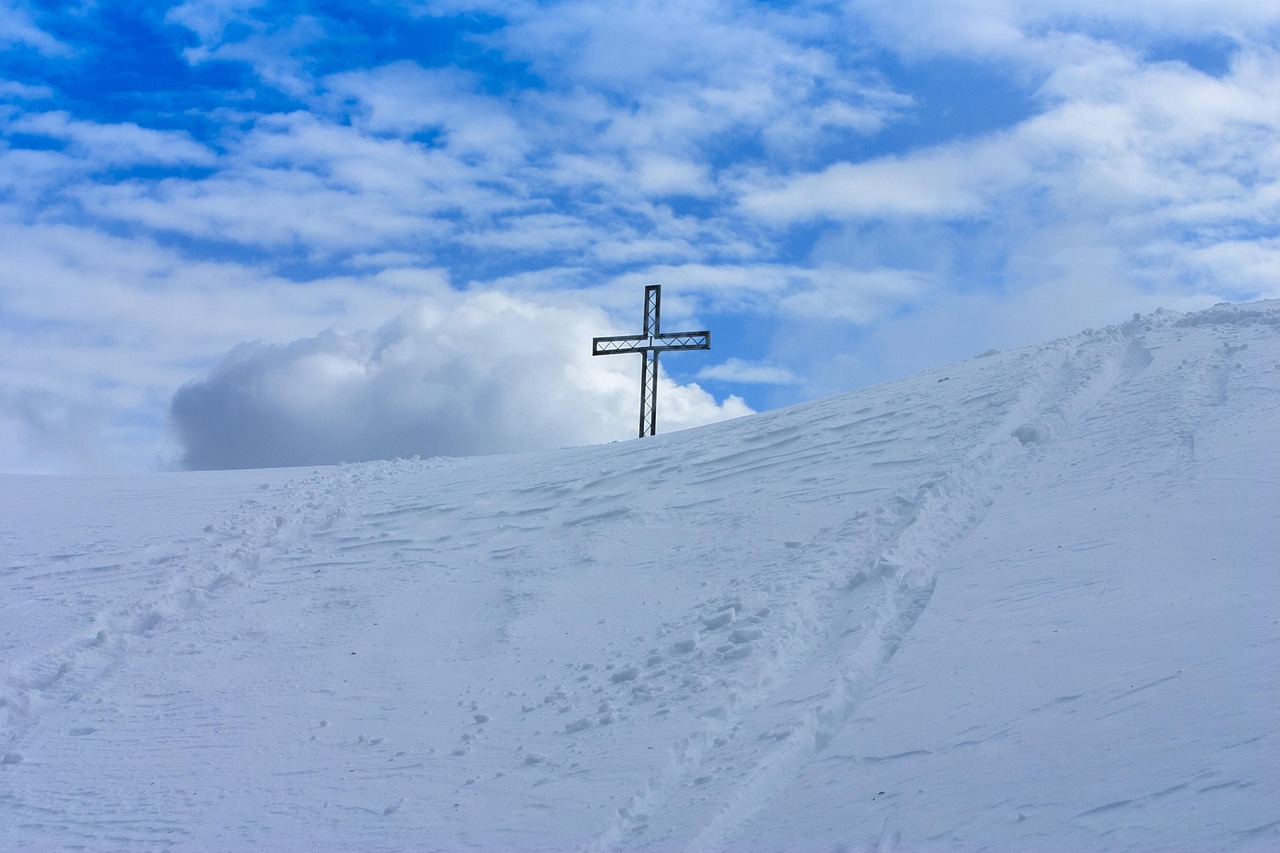 小鸟云实名账号：企业购买网上平台