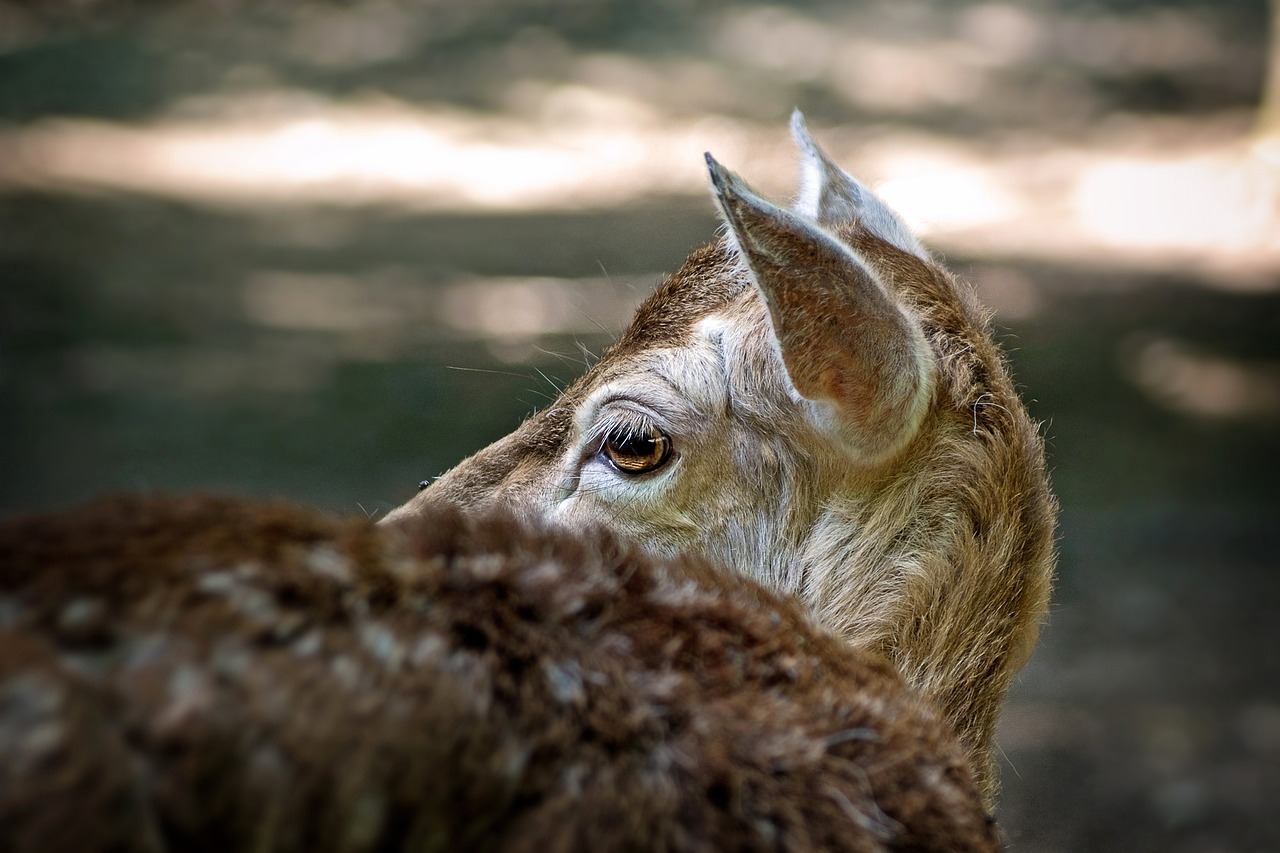 如何利用内容营销增加你的SEO等级