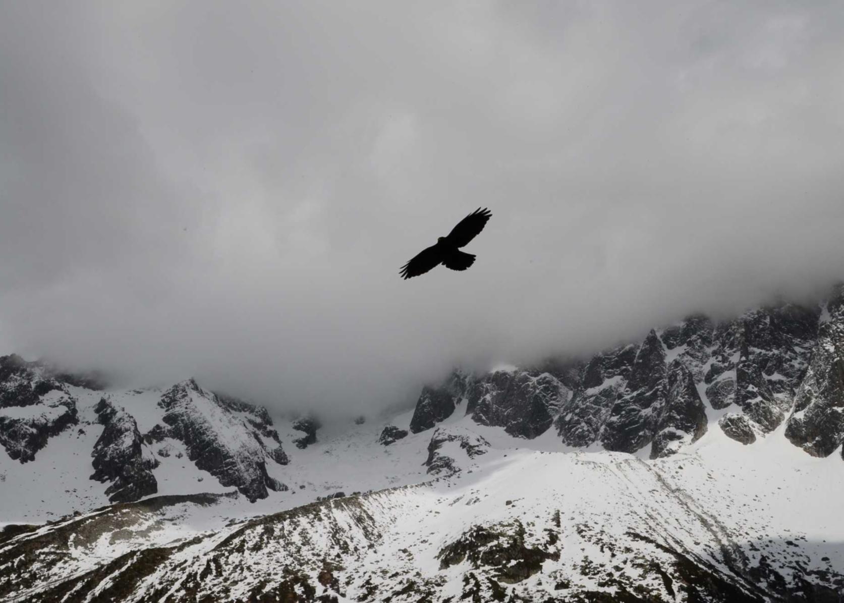 香烟的代价：经济和社会成本