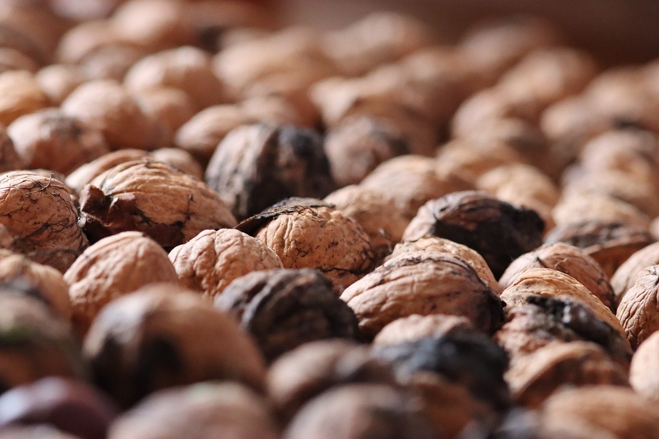 中国广电实名账号：观书法app详情下载教程