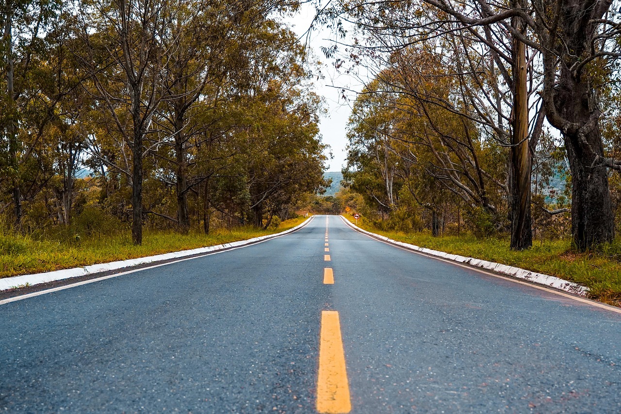 天音移动实名账号：美国皮衣购买平台