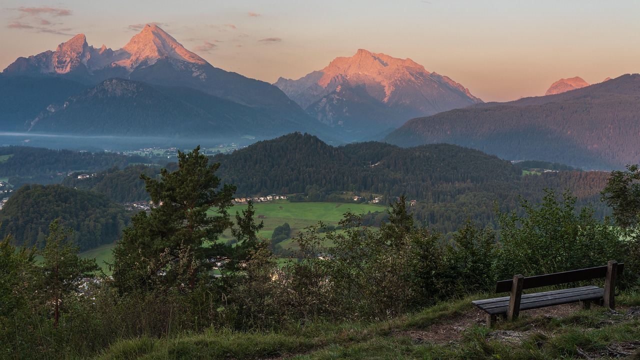技术支持被发现后的处罚措施