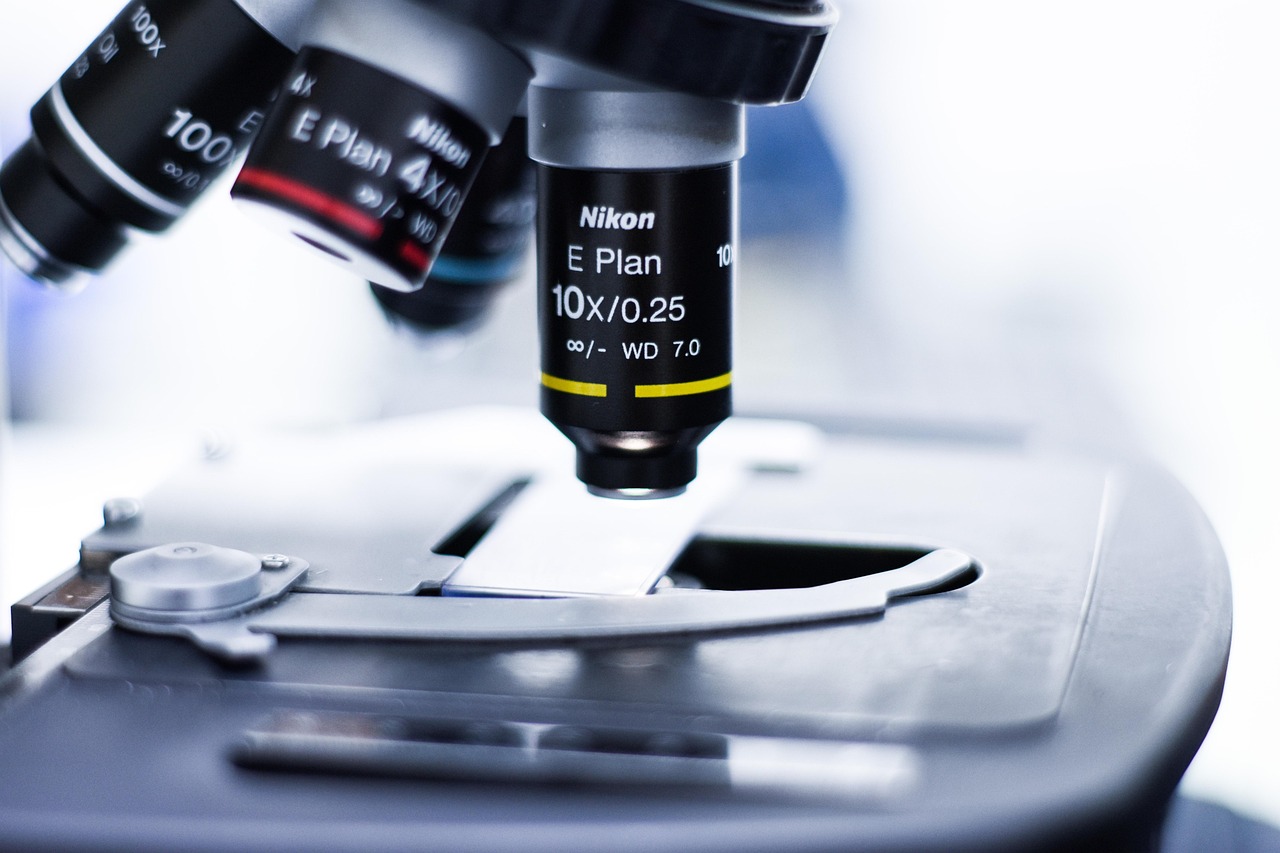 如何利用创意和想象力提高SEO排名