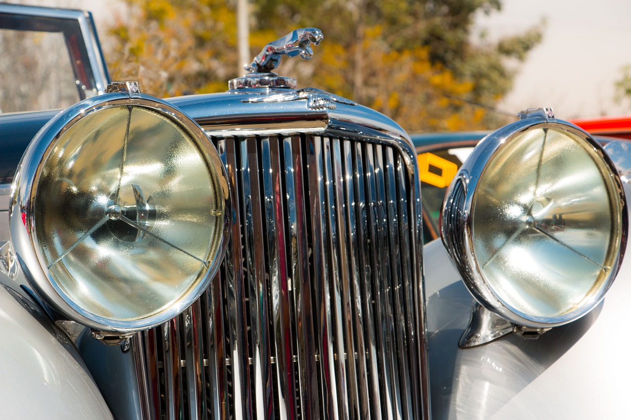 石器时代:觉醒:英语头条app详情下载教程