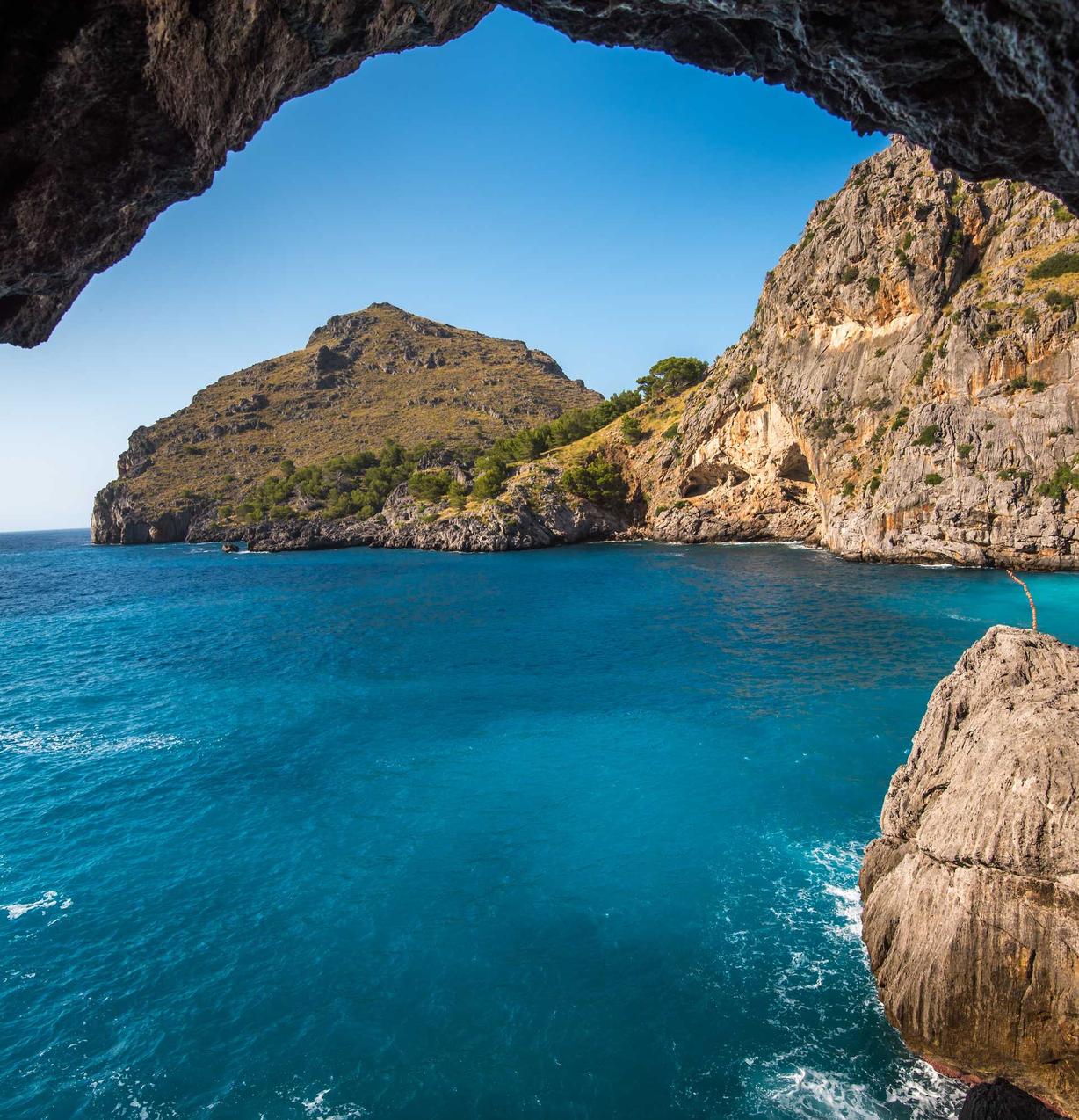 天火详情下载教程app农行银行