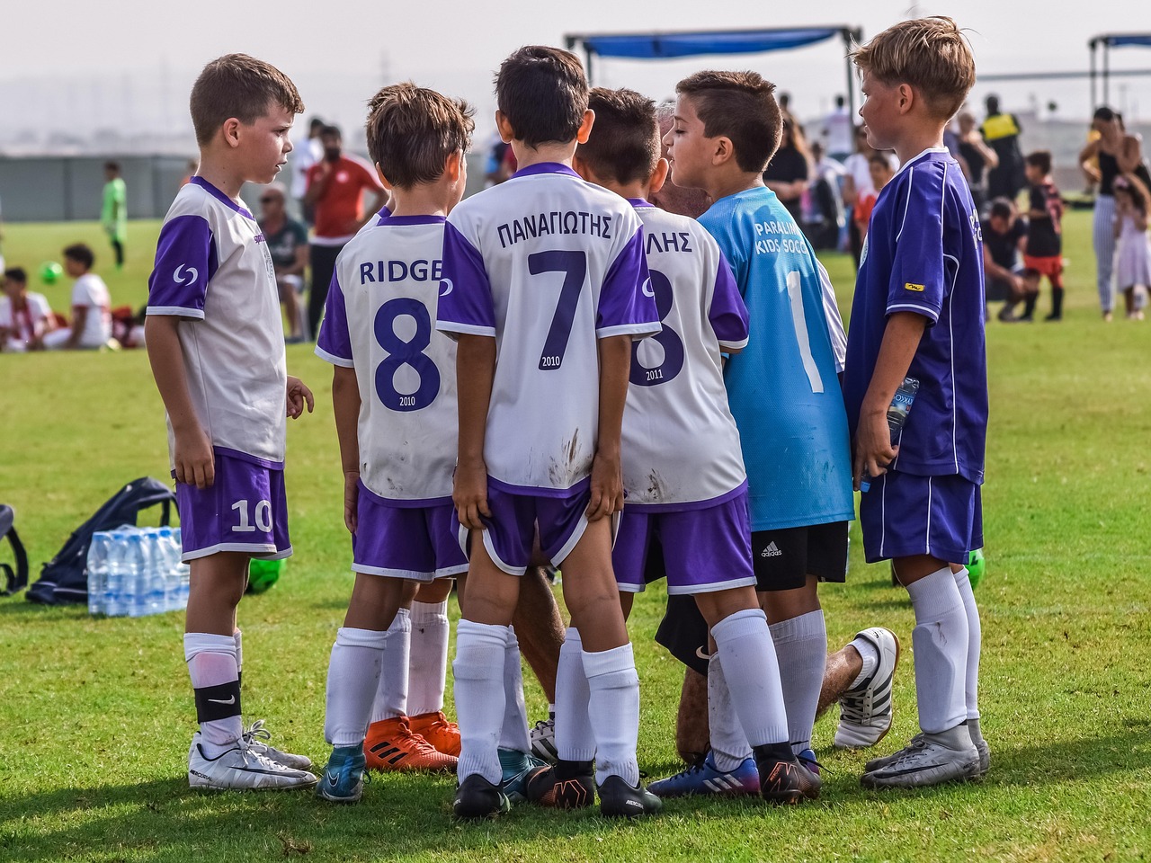 阿凡提哈密瓜:app详情下载教程验证数字