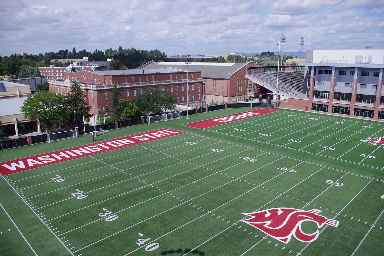 天仙月（3D）：长春日用品购买平台