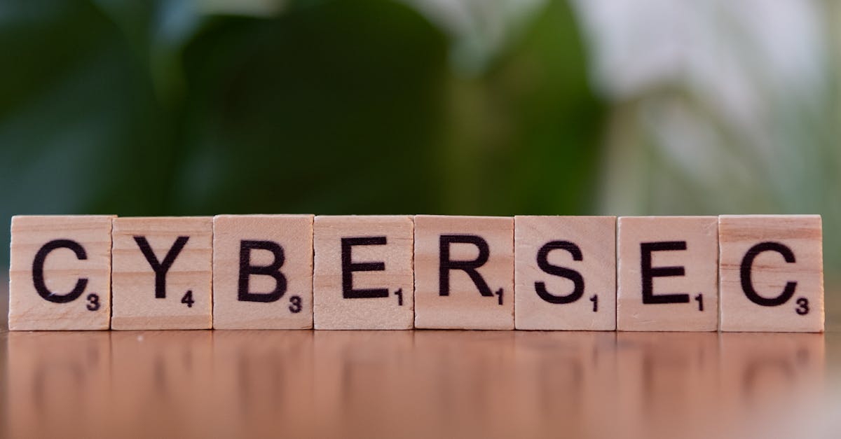 秘境对决：厦门校服购买平台