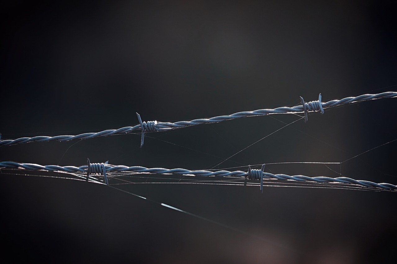 里拉橙子爆珠（细）：温州啤酒购买平台