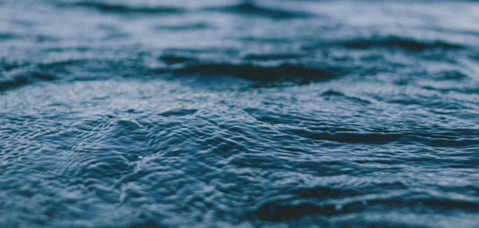 卧龙购买肉类平台