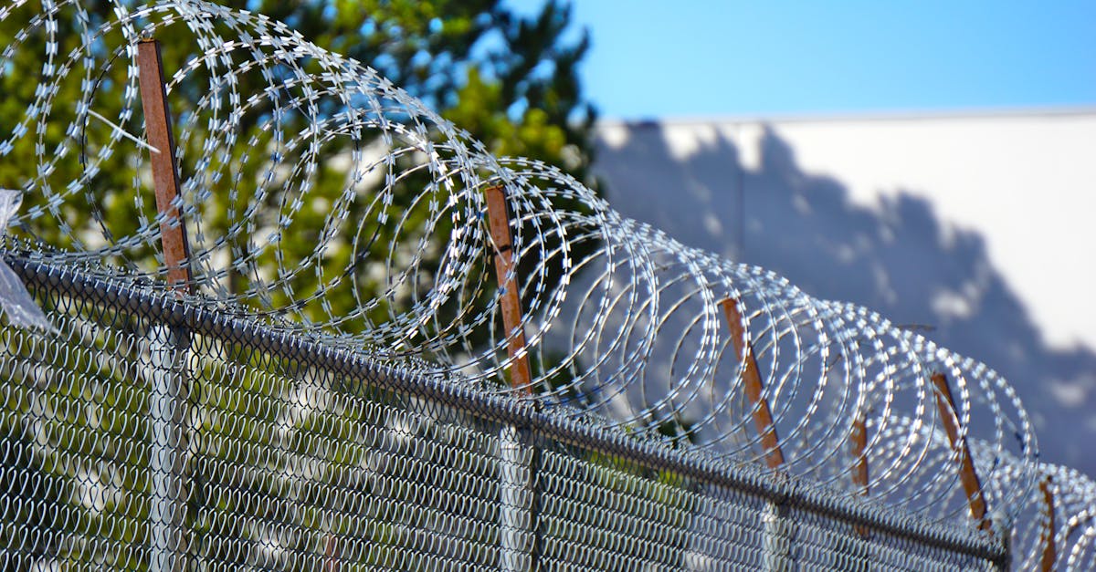 博猫游戏如何通过企业营销实现品牌价值提升